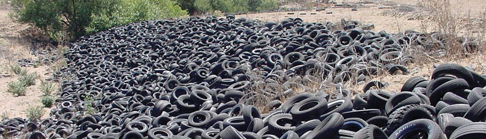 Environmental Clean-up Tire Pile