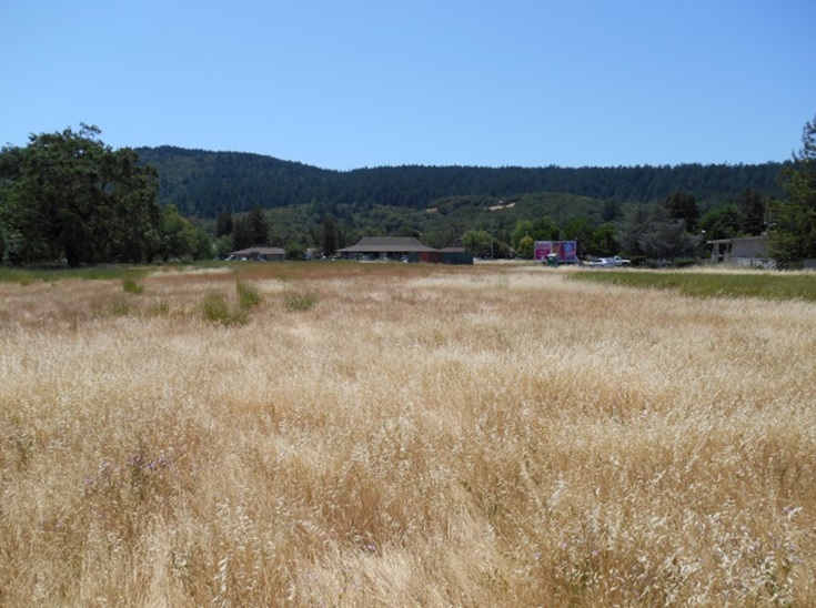 Meadows at Oakmont